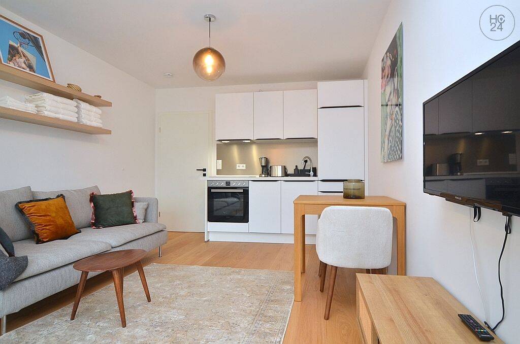 Exklusiv möbliertes 1-Zimmer-Apartment mit WLAN in St.-Johannis – Nürnberg – Vorschaubild 5