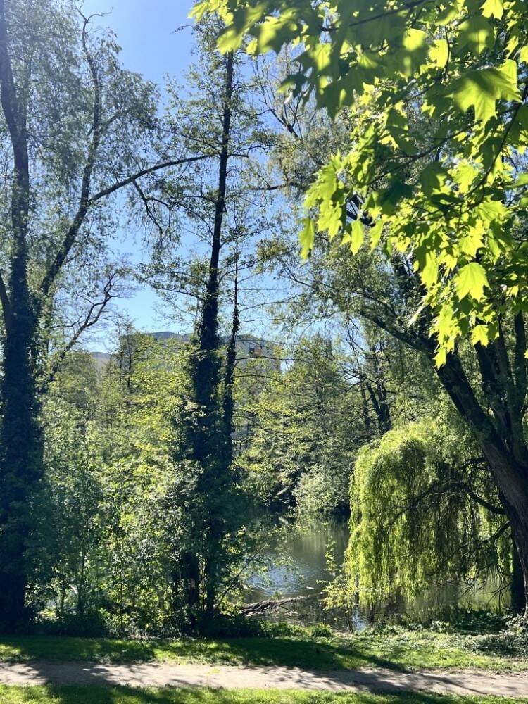 Die Lage macht´s ... Vermietete Wohnung am idyllischen Praterweiher ...