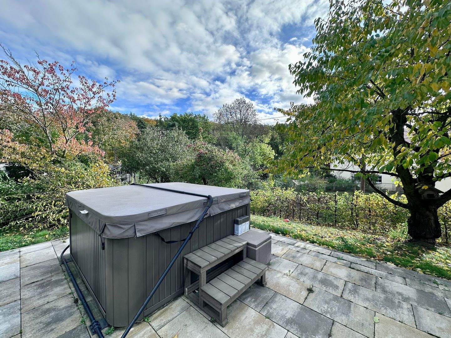 IDYLLISCHES LEBEN UND WOHNEN + EFH + KAMIN + EBK + TERRASSE + KELLER + GARAGE + + + – Diera-Zehren – Vorschaubild 5