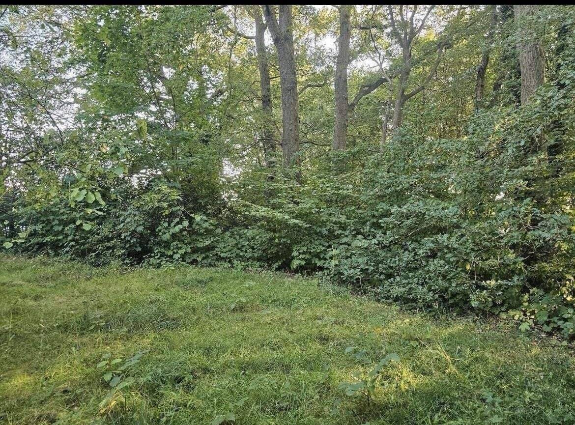 Kleineres EFH auf großem Grundstück – Vorwerk – Vorschaubild 7