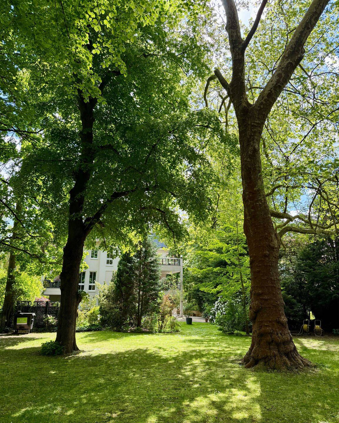Stilvolles Wohnen in exklusiver Grunewald Villenlage – Berlin – Vorschaubild 2