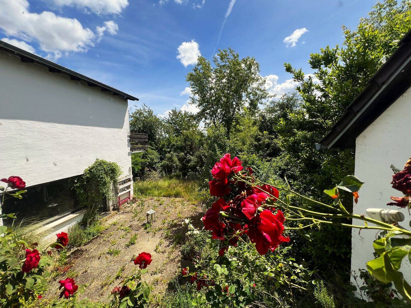 Charmantes Einfamilienhaus mit großer Terrasse und traumhaftem Garten – Ober-Ramstadt – Vorschaubild 5