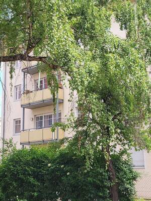 Lichtdurchflutete 2-RW mit Balkon im Neubau in ruhiger grüner Lage von Dresden-Cotta