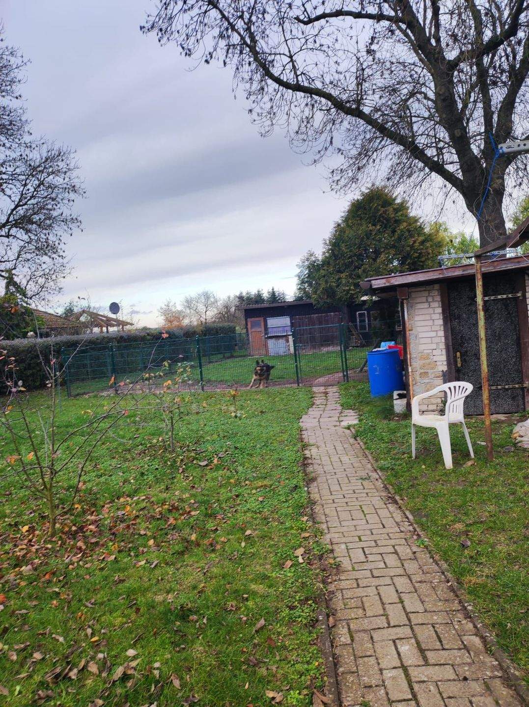 Mehrgenerationenhaus mit großem Garten in schöner Lage – Hohenselchow-Groß Pinnow – Vorschaubild 5