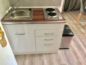 Exlusives Apartment am Luisenpark in Zentrum von Erfurt – 99094 Erfurt – Vorschaubild 3