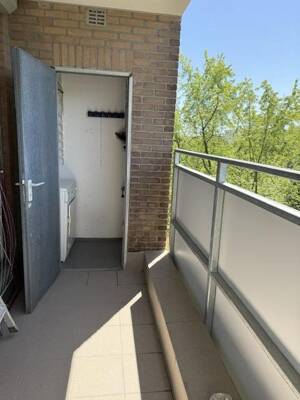 42qm Apartment mit Balkon im grünen Teil von Bonn Auerberg – 53117 Bonn – Vorschaubild 8