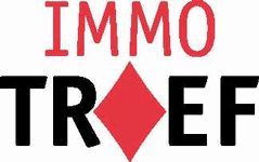 Immo Troef logo