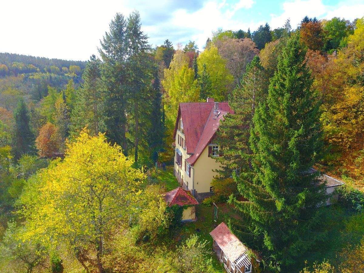 LANDHAUS - Fabelhaft liebenswerte Familienvilla im grünen Stadtrand! – Bad Berka – Bild 1 von 9