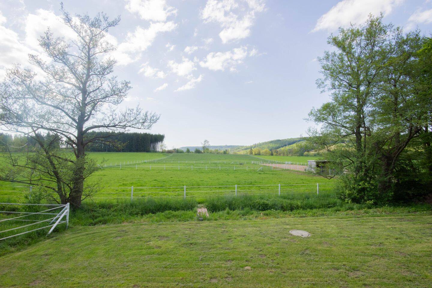 Natur, Ruhe und Pferdeglück - Exklusiver Pferdehof mit 2,1 ha in Brilon-Alme – Brilon – Vorschaubild 7