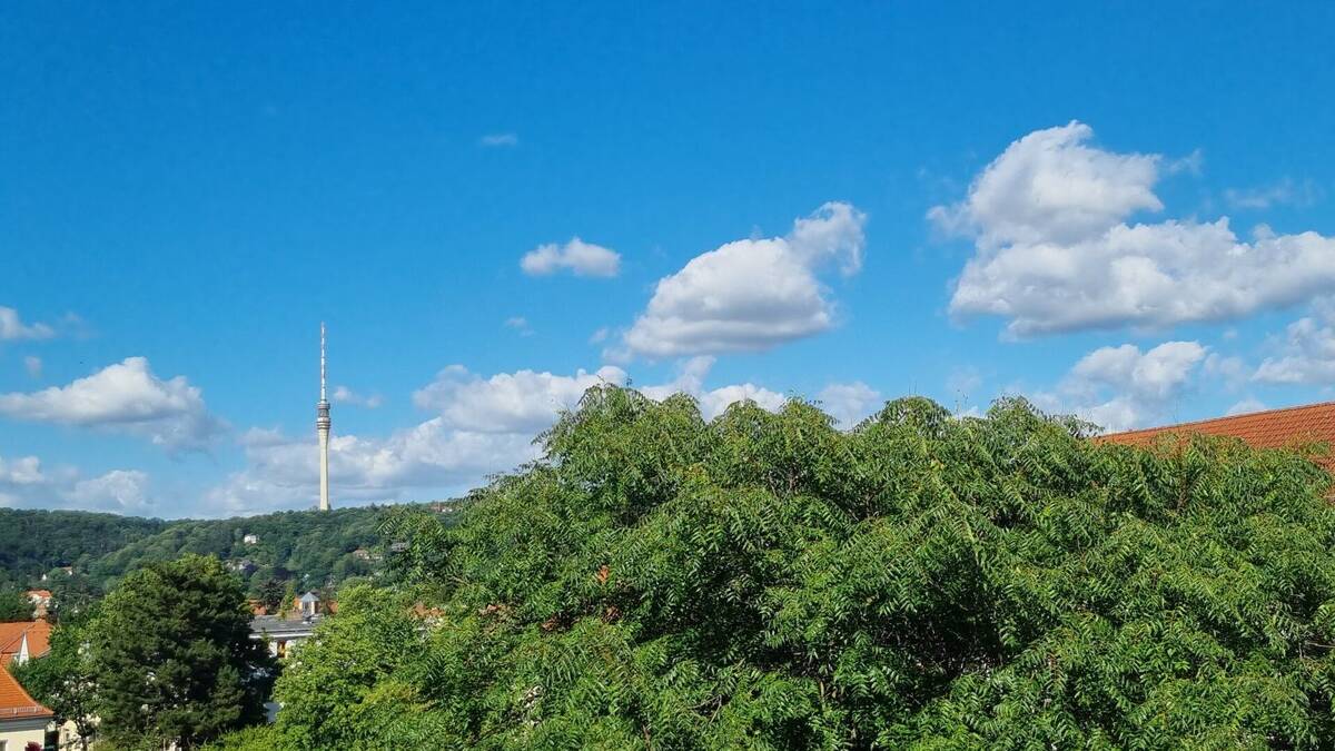 Ruhige Lage trifft gepflegten Wohnkomfort - 3-Zimmer-Wohnung mit Balkon in Tolkewitz – 1279 Dresden – Bild 1 von 9