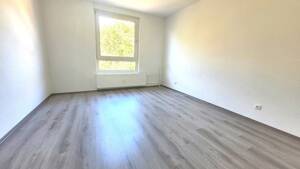 Hübsche 2-Zimmer-Wohnung mit Balkon! – 45279 Essen – Vorschaubild 4