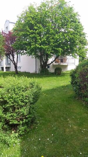 Kapitalanlage in Simmerberg 2-Zimmer-ETW im Erdgeschoss mit Balkon – 88171 Weiler-Simmerberg – Vorschaubild 4