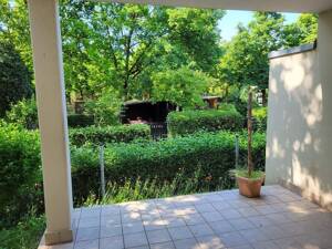 Familienfreundliche 4-Zimmer-Wohnung mit Terrasse in Ludwigshafen – 67059 Ludwigshafen am Rhein – Vorschaubild 1