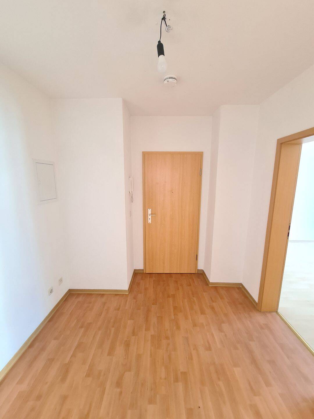 helle 2 Raum Wohnung zum Wohlfühlen – Chemnitz – Vorschaubild 3