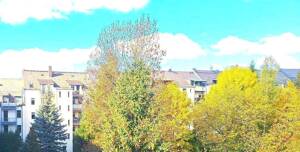 NEU SANIERT / BLICK INS GRÜNE / TOP LAGE – 9131 Chemnitz – Vorschaubild 4
