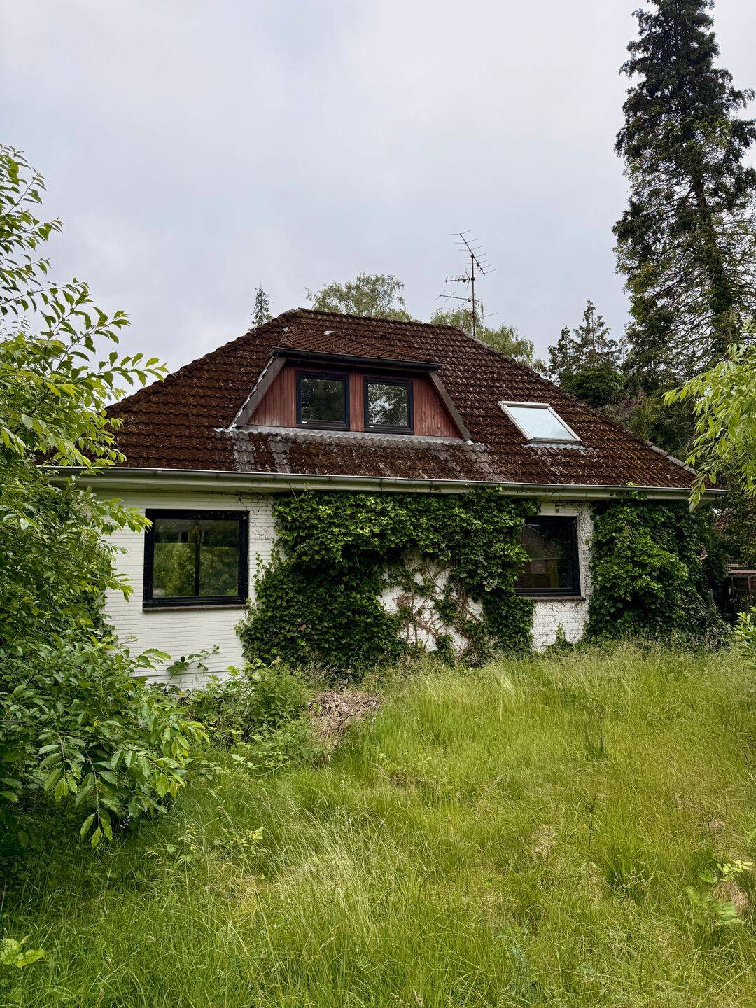 Repräsentatives Haus zum Verwirklichen auf großem eingewachsenen Grundstück – Quickborn – Vorschaubild 4