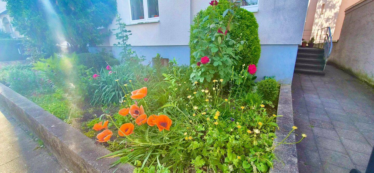 Ein Stück Paderborn – 4 - Familienhaus – Paderborn – Vorschaubild 2
