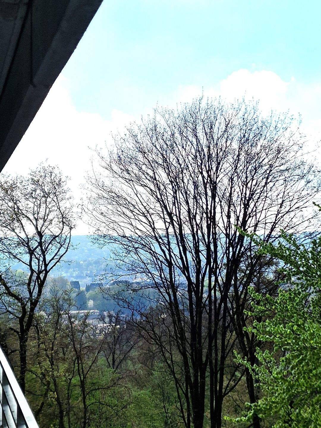 IMWRC – Herrlicher Blick ins Grüne! ETW mit großer Loggia in Uellendahl-Katernberg!