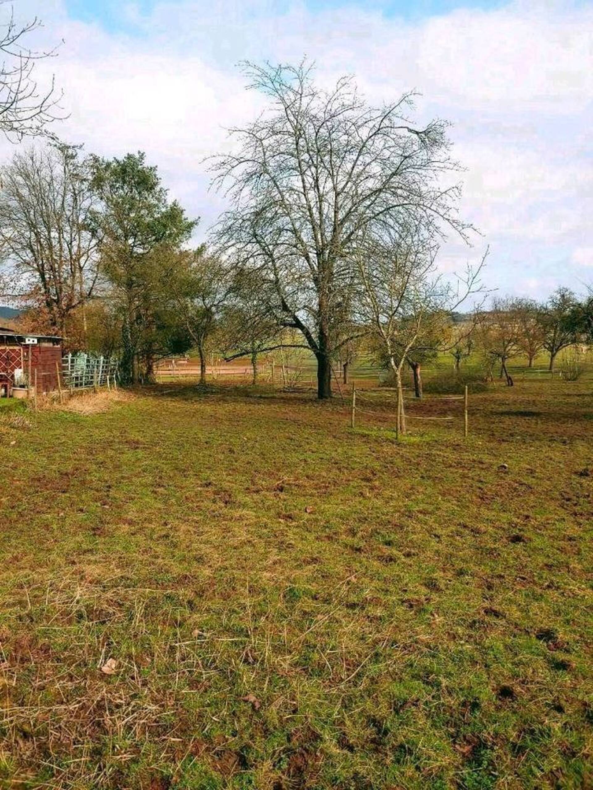 Einfamilienhaus in 54338 Schweich mit 141,48 m² kaufen