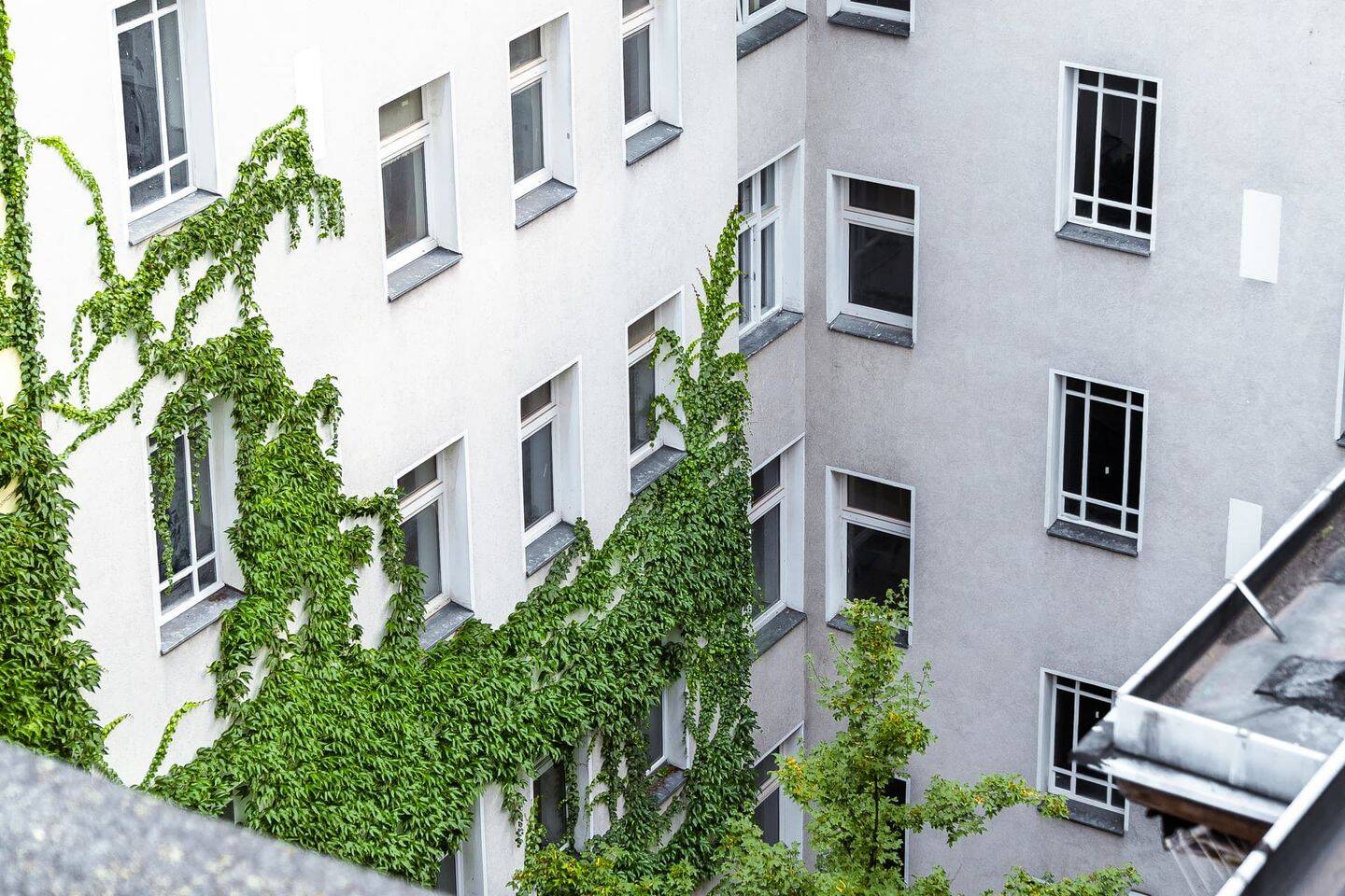 Perfekte Kapitalanlage in Bestlage! Vermietete 1-Zimmer-Wohnung am Volkspark Hasenheide