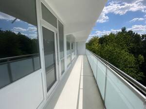 Sonnige 3-Zimmer-Wohnung mit XXL-Loggia und direktem Balkonzugang aus allen Zimmern – 81539 München – Vorschaubild 4