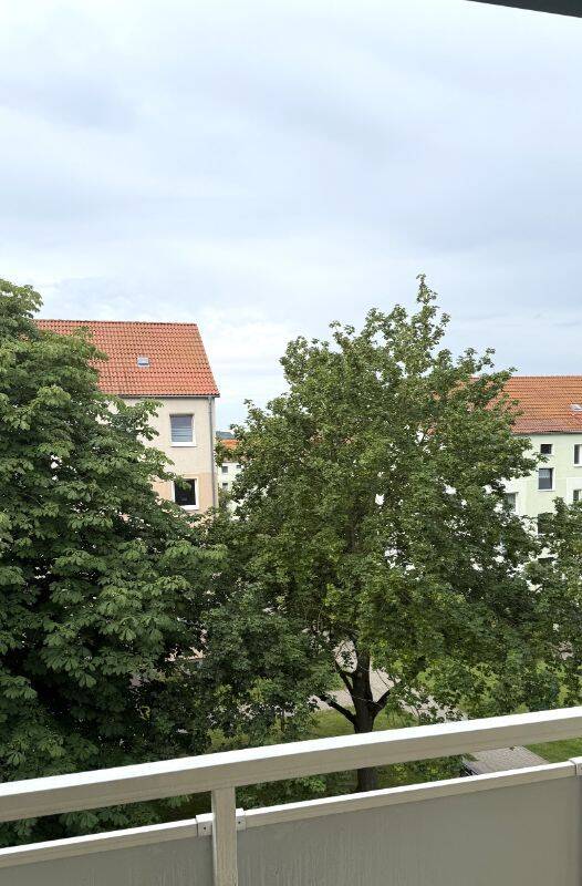 einfach einziehen – Aschersleben – Vorschaubild 5