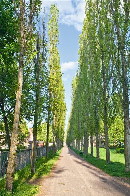 Vermietung mit Renovierungsgutschein – Magdeburg – Vorschaubild 2