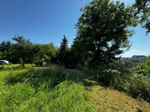 "OSTERBURGBLICK"! EFH mit Ausbau-Potential für Kreative & 3290m²-Grundstück, große Wiese, für Sport & Spiel, Kleintierhaltung & Bio-Gärtner! – 7570 Weida – Vorschaubild 2