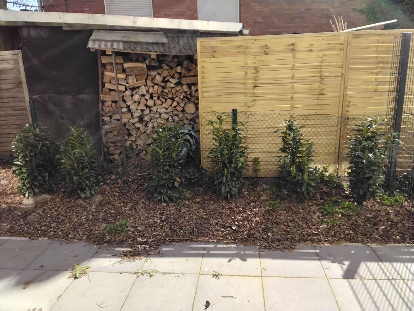 ***BÜSCHER IMMOBILIEN*** Modernes Stadthaus mit kleinem Garten & Photovoltaik – KfW-40 Effizienz in Münster-Angelmodde – Münster – Vorschaubild 7