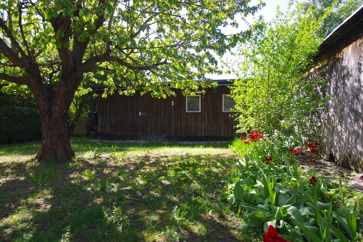 Familienglück - REH mit schönem Garten in ruhiger Lage – Regensburg – Vorschaubild 4