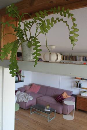 Helle 3-Zimmer-Eigentumswohnung mit Balkon, Garage und schönem Ausblick in Hannover-Vahrenwald – 30165 Hannover – Vorschaubild 6