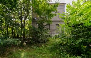 Monument protected and in need of renovation "Villa Rabe" in Potsdam – 14467 Potsdam – Vorschaubild 8