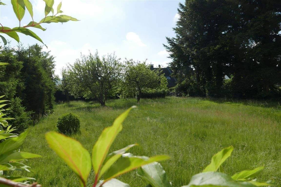 Auf der Sonnenseite: 3-ZKB-Gartenwohnung - KS-Harleshausen-Jungfernkopf – Kassel – Vorschaubild 6