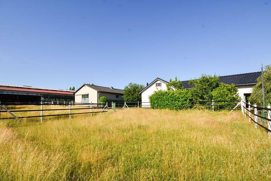 Perfekt für Pferdeliebhaber! Einfamilienhaus mit Pferdestall und 4.000m² großer Weidefläche. – Königslutter am Elm – Vorschaubild 5