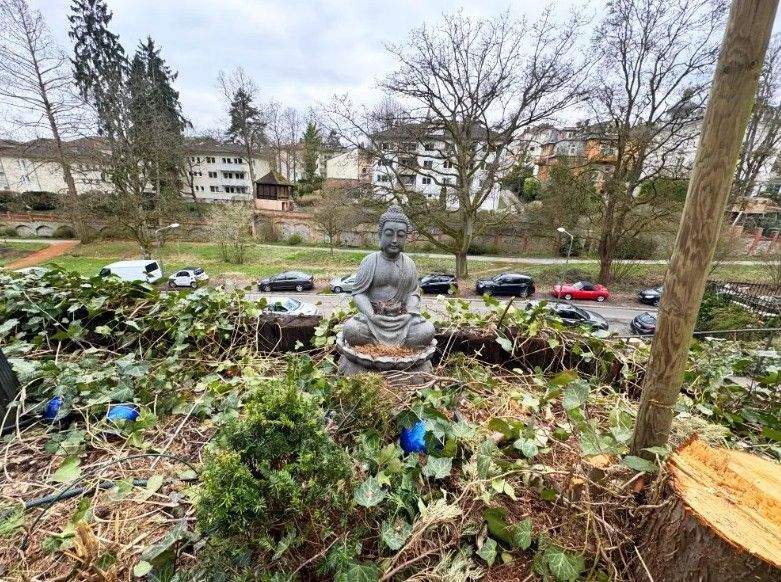 Der private Dachgarten mit Rundumblick - Komponistenviertel – Wiesbaden – Vorschaubild 3