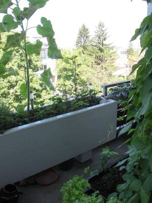 Ausgezeichnet geschnittene 3 Zimmer Wohnung mit 2 Balkonen – 81369 München – Vorschaubild 4