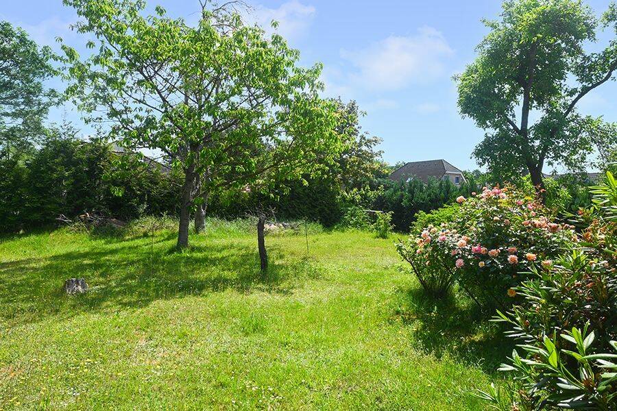 Lachendorf: Idyllisches Einfamilienhaus mit Wintergarten und großem Garten! – Lachendorf – Vorschaubild 9