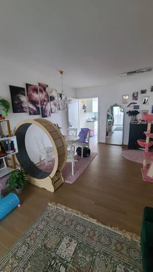Attraktive, komfortable 2-Zimmer-Wohnung in Herrenberg ab 01.10.26 – 71083 Herrenberg – Vorschaubild 7