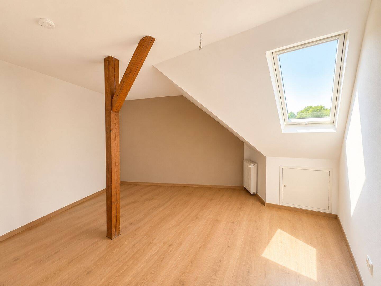 Wir sanieren für Sie! 4 Zimmer mit Balkon und großer Küche! – Chemnitz – Vorschaubild 2