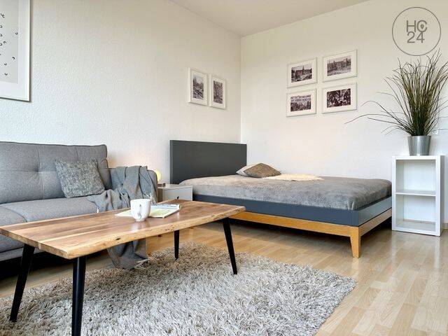 Modisch möbliertes und charmantes Studio Apartment mit Dachterrasse in Leipzig