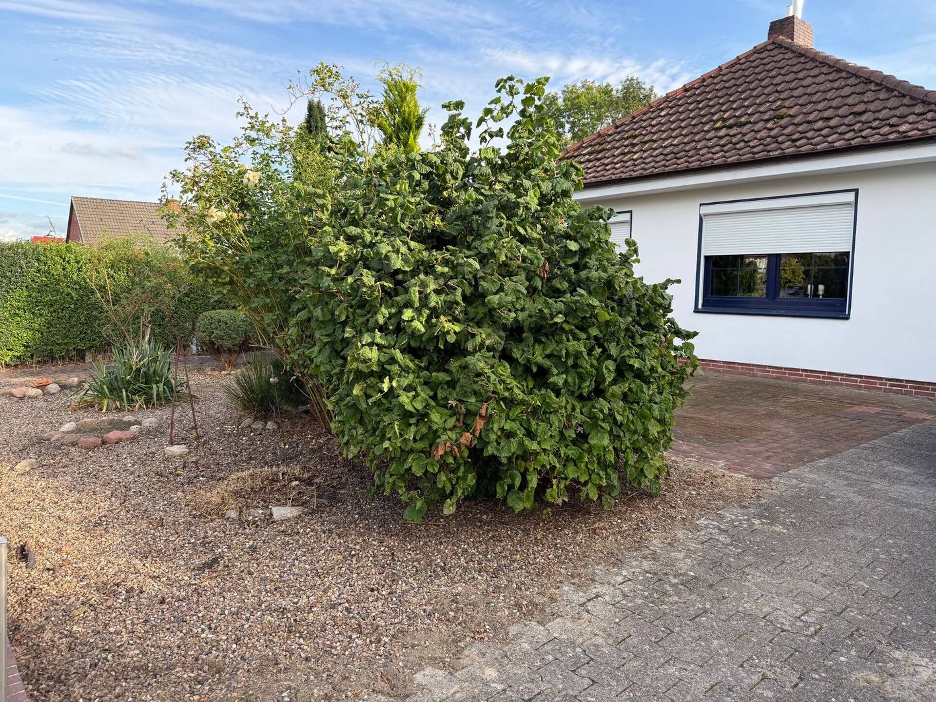 Haus in 27628 Hagen im Bremischen mit 101 m² kaufen