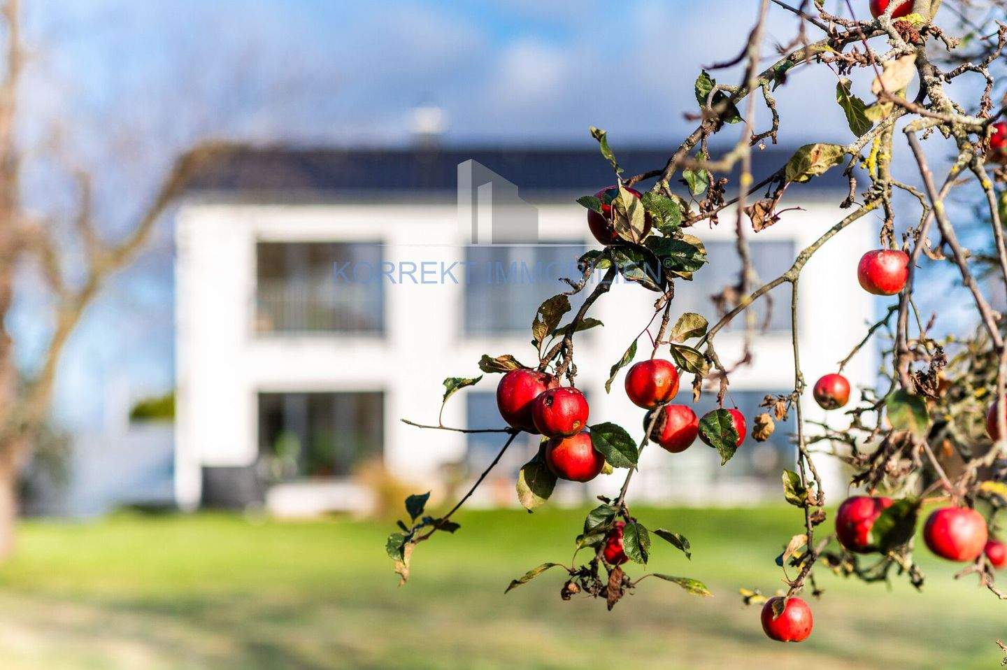 Exklusives Einfamilienhaus mit großzügigem Garten und Premium-Ausstattung (EEK A+) in erstklassiger Lage von Radebeul! – Radebeul – Vorschaubild 3