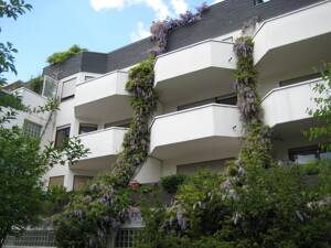 Gepflegte Wohnung in zentraler Lage – 63065 Offenbach am Main – Vorschaubild 1
