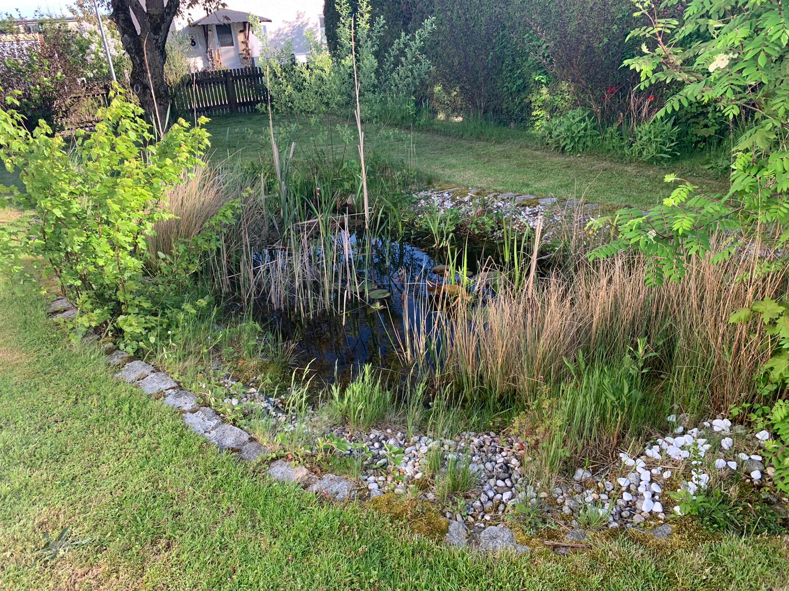 Älteres Häuschen mit großem Garten und viel Charme – Geisenhausen – Vorschaubild 5
