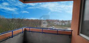 RAUMWUNDER MIT POTENTIAL – 22119 Hamburg – Vorschaubild 5