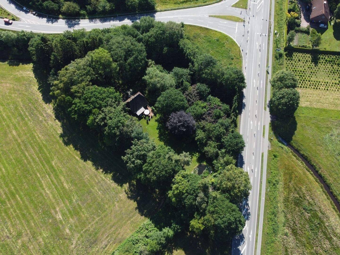 Einzigartiges Einfamilienhaus im Grünen in Tweelbäke – Oldenburg – Vorschaubild 4