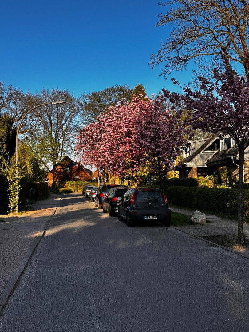 PLZ 22399 Großes Einfamilienhaus in Top Lage in Hamburg Poppenbüttel – Hamburg – Vorschaubild 3