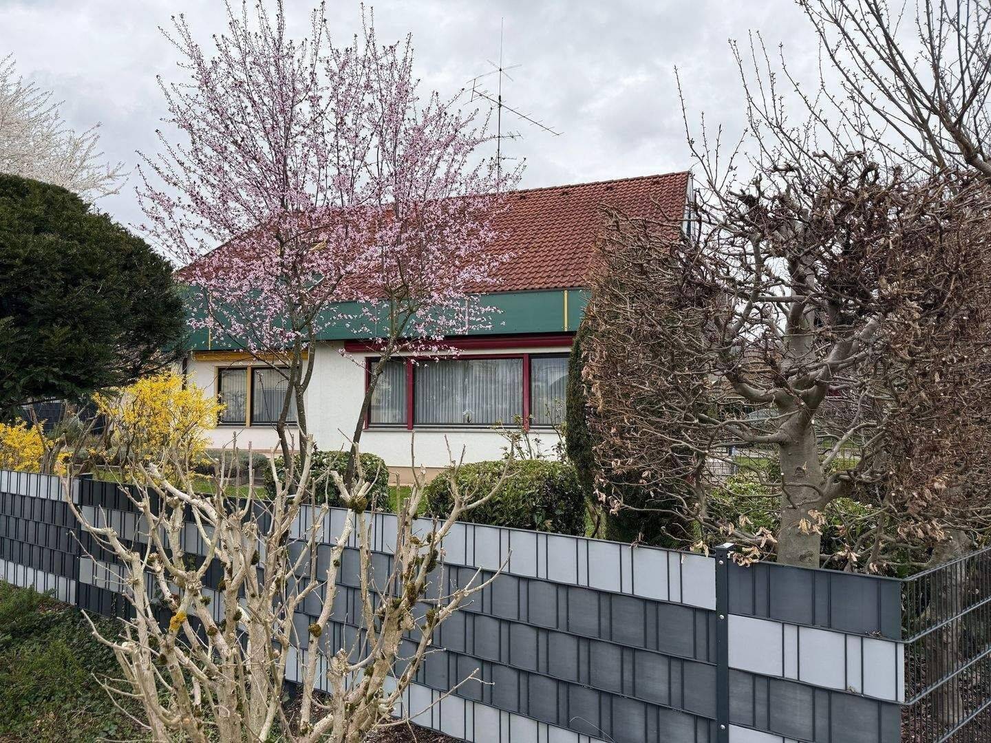 Freistehendes Architektenhaus mit Einliegerwohnung – Wohnen in einer der begehrtesten Lagen von Rheinfelden-Nollingen – Rheinfelden (Baden) – Vorschaubild 3
