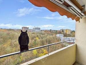 Barrierearm & großzügig: 4-Zi.-Wohnung mit Loggien, Aufzug & Garage – 97078 Würzburg – Vorschaubild 4