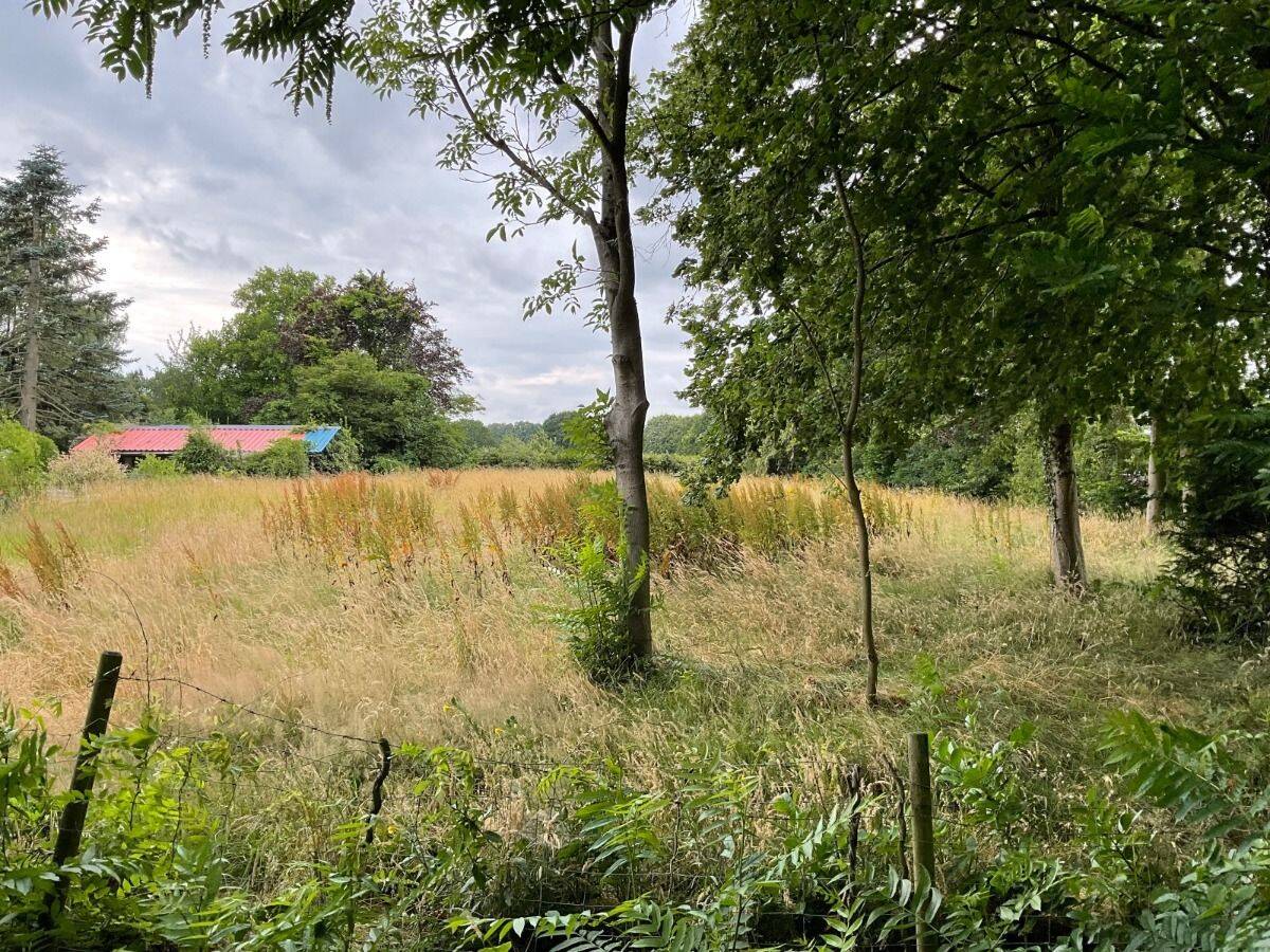 EINFAMILIENHAUS MIT NATURTEICH IN WALDLAGE & 5017QM GRUNDSTÜCK ZUR TIERHALTUNG IN WESTERSTEDE – Westerstede – Vorschaubild 7